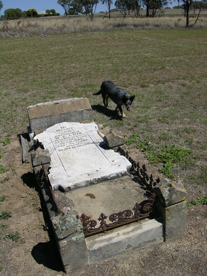 William Cochrane ADIE - Grave 1 - NSWPF - Killed 11 October 1908
