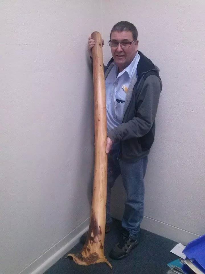 Hi everyone. Our wonderful friend Kamahl has organised an authentic Didgeridoo to raffle off for the fundraiser that was kindly donated by Murray Izzard. A bit of info: Its white box, cut 3 years ago green and dried over a 2 year period, food grade mouth piece, Low A key, deep resonant sound and oil finished. The raffle for the beautiful piece of art will be drawn on the night if the dinner. Should you wish to purchase tickets please contact Kamahl direct on 0408867666. Thanks again Kamahl.
