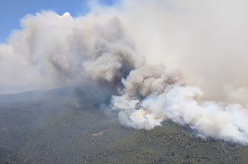 The catastrophic 2019 bushfires in Tasmania were cited several times during the inquest.(Supplied: Tasmania Fire Service)